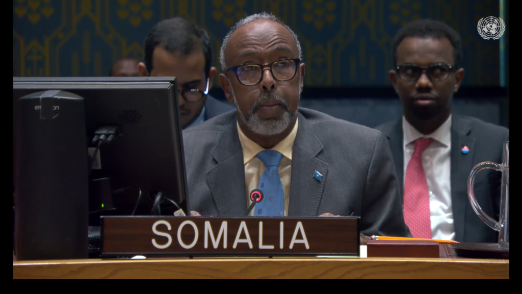 Photo: Somalia's permanent representative Abukar Osman Source: UN / UN Media