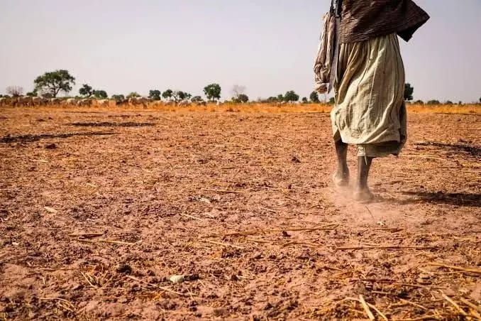 WhatsApp Image 2026 01 29 at 7.39.34 AM