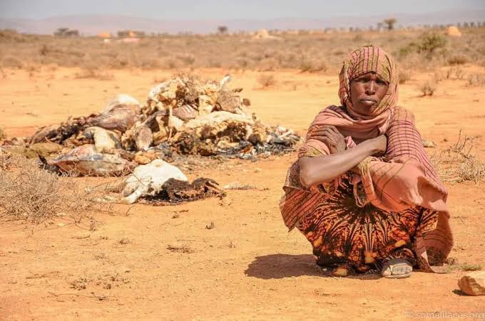 WHEN SURVIVAL COLLAPSES: THE SEVERE DROUGHT DEVASTATING NORTH EASTERN KENYA Photo courtesy: woman looked devastated in the ongoing drought