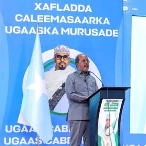 POWER, TIME, AND THE RULES OF THE GAME: INSIDE SOMALIA’S HIGH-STAKES POLITICAL STANDOFF AS HASSAN SHEIKH OUTMANEUVERS AN OPPOSITION RACING AGAINST THE CLOCK jpeg murursade