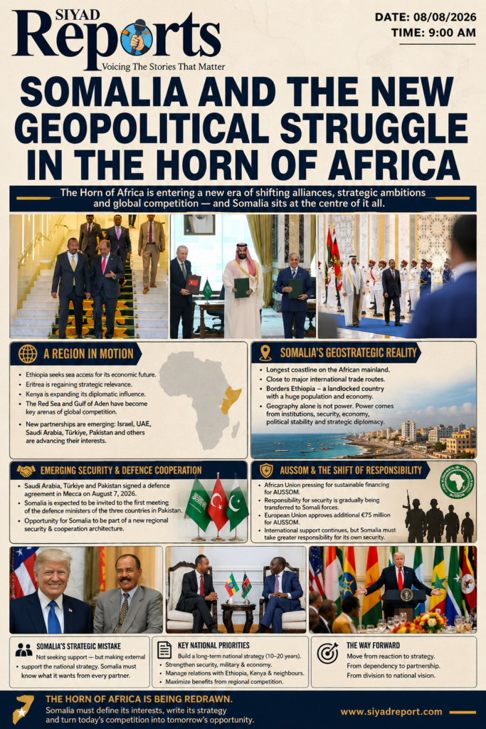 Somalia and the New Geopolitical Struggle in the Horn of Africa file 00000000c9e081f6b9a612adcc2bb219